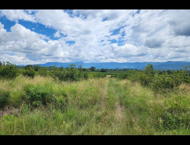 742,854M² FARM FOR SALE IN LEVUBU